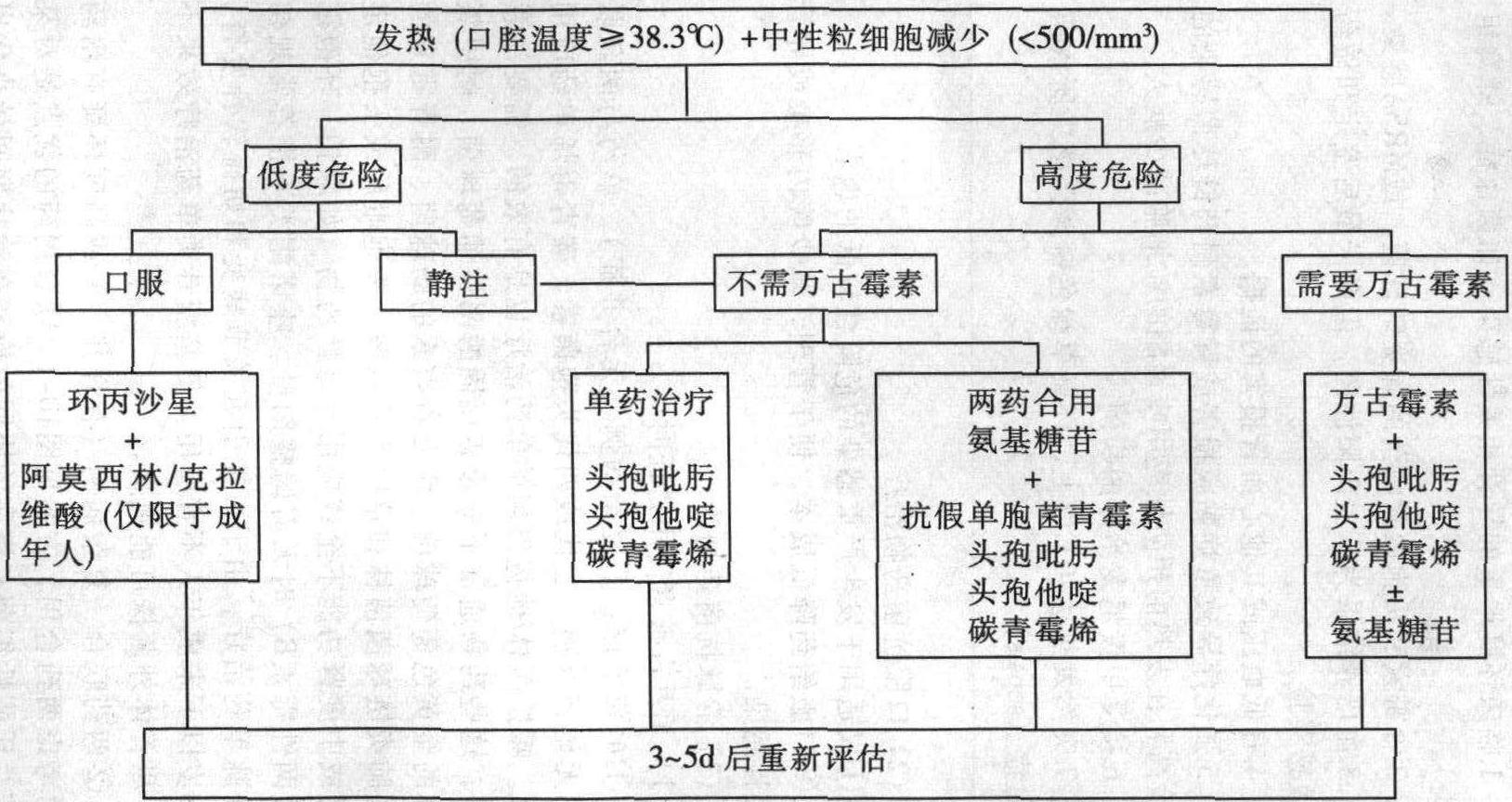 第二節(jié) 感染